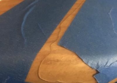 Professional Luthier